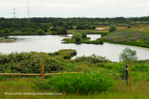 Beddington Farmlands