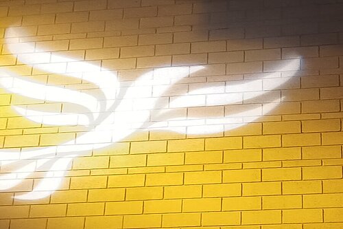 Lib Dem logo bird projected on blockwork